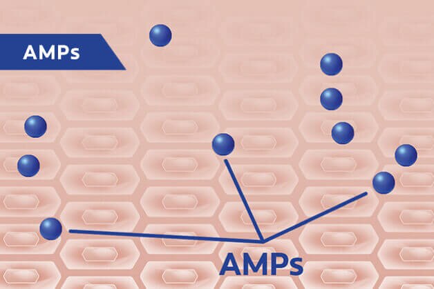 Productos para el cuidados e higiene de la piel Protex Guatemala