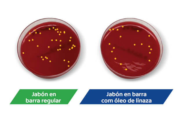 Jabón en barra regular vs jabon en barra con oleo de linaza