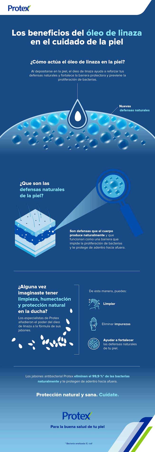 Infografía que muestra los beneficios del aceite de linaza para la piel, destacando su capacidad para fortalecer las defensas naturales y prevenir la proliferación de bacterias. 