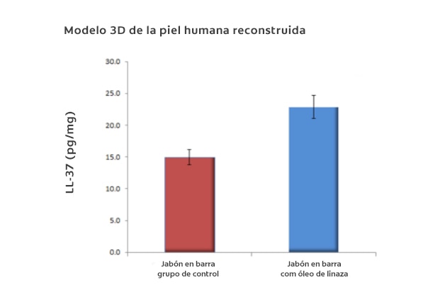 Modelo 3D de la piel humana reconstruida.